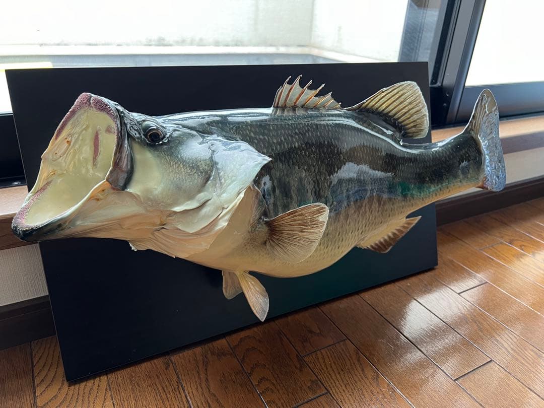 ブラックバス剥製　インテリア壁掛けタイプ
