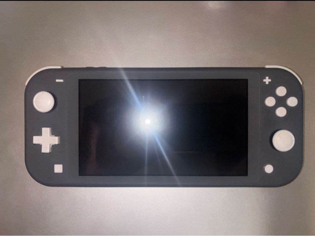 d*3様 nintendo switch lite どう森付き