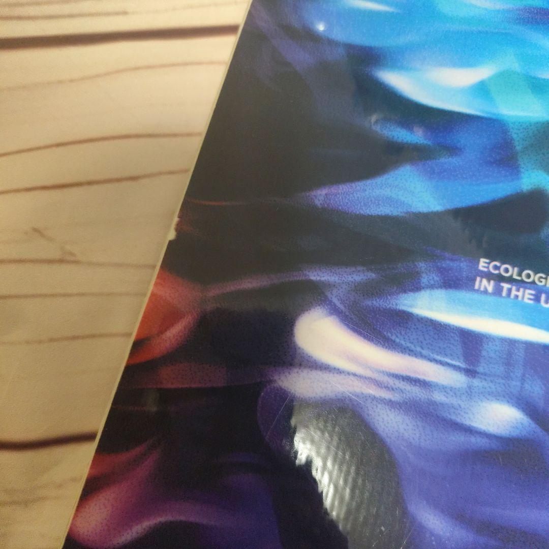 ROXY スノーボード 板