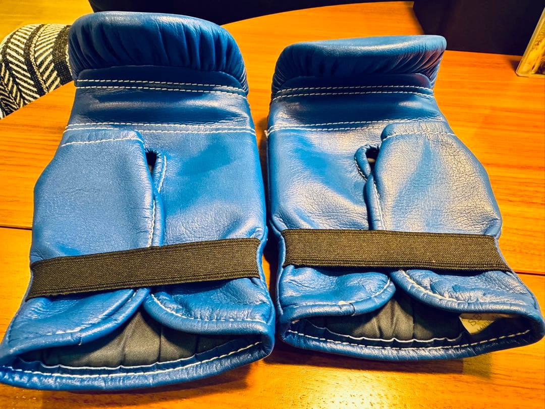 ウイニング ボクシング パンチンググローブ SB-2000