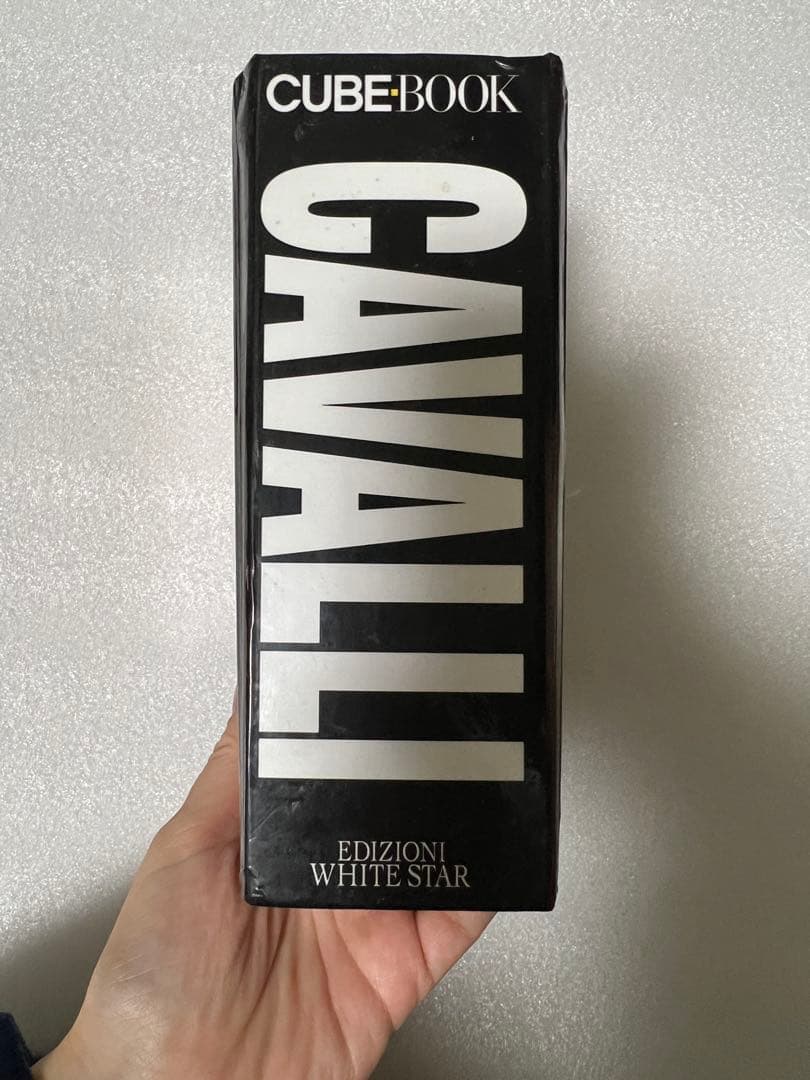 【希少・貴重】イタリア語版　世界中の馬の写真集　CUBE BOOK インテリア