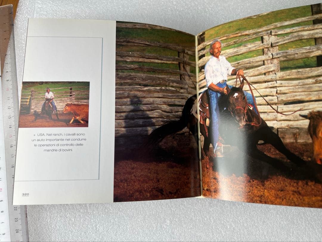 【希少・貴重】イタリア語版　世界中の馬の写真集　CUBE BOOK インテリア