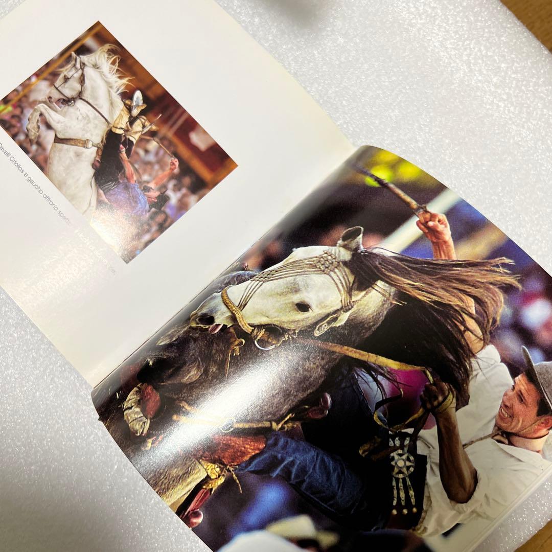 【希少・貴重】イタリア語版　世界中の馬の写真集　CUBE BOOK インテリア