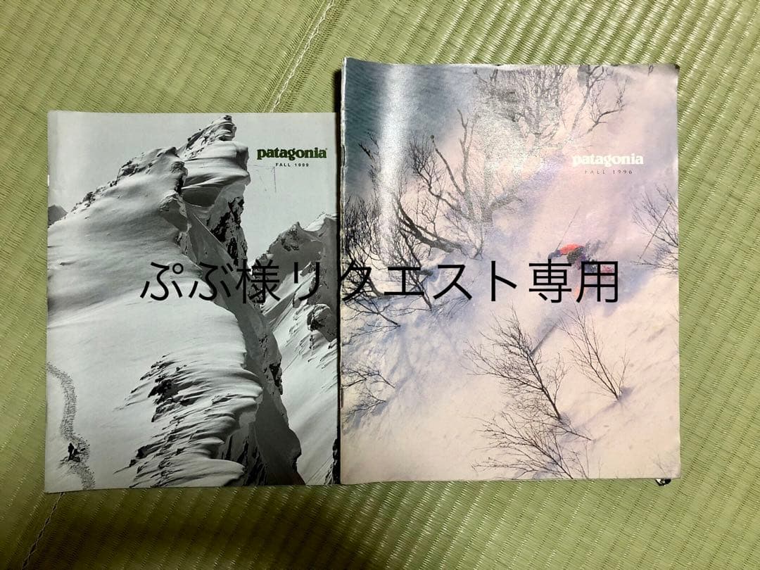 【ぷぷ】パタゴニアカタログ