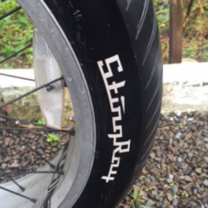 自転車本体 plathomono2