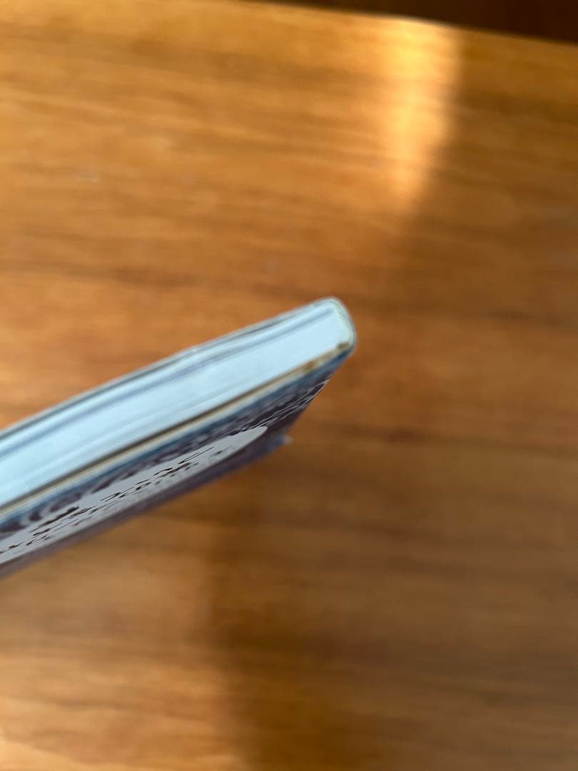 ELEPHANT BRAND バンダナ本　キャピタル