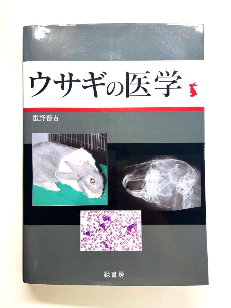 裁断済み　ウサギの医学 霍野晋吉　著