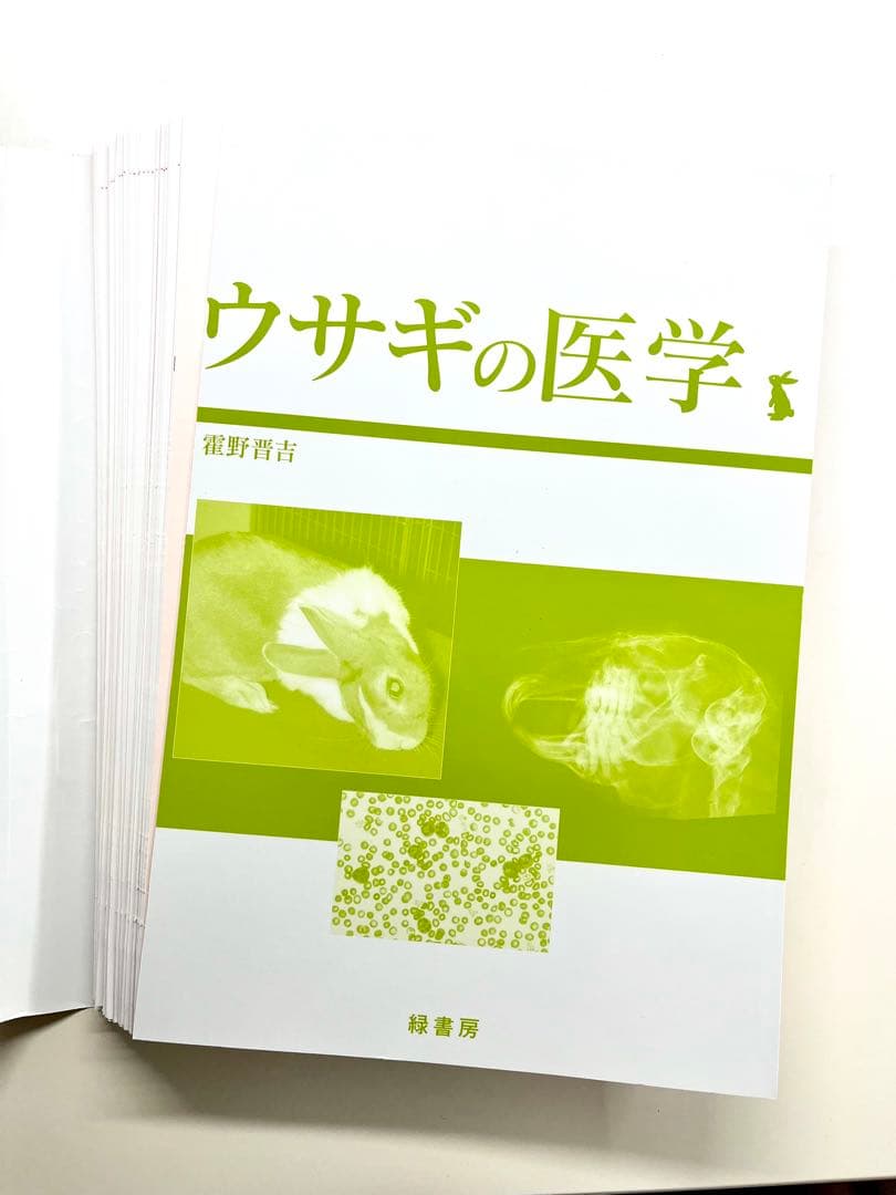 裁断済み　ウサギの医学 霍野晋吉　著