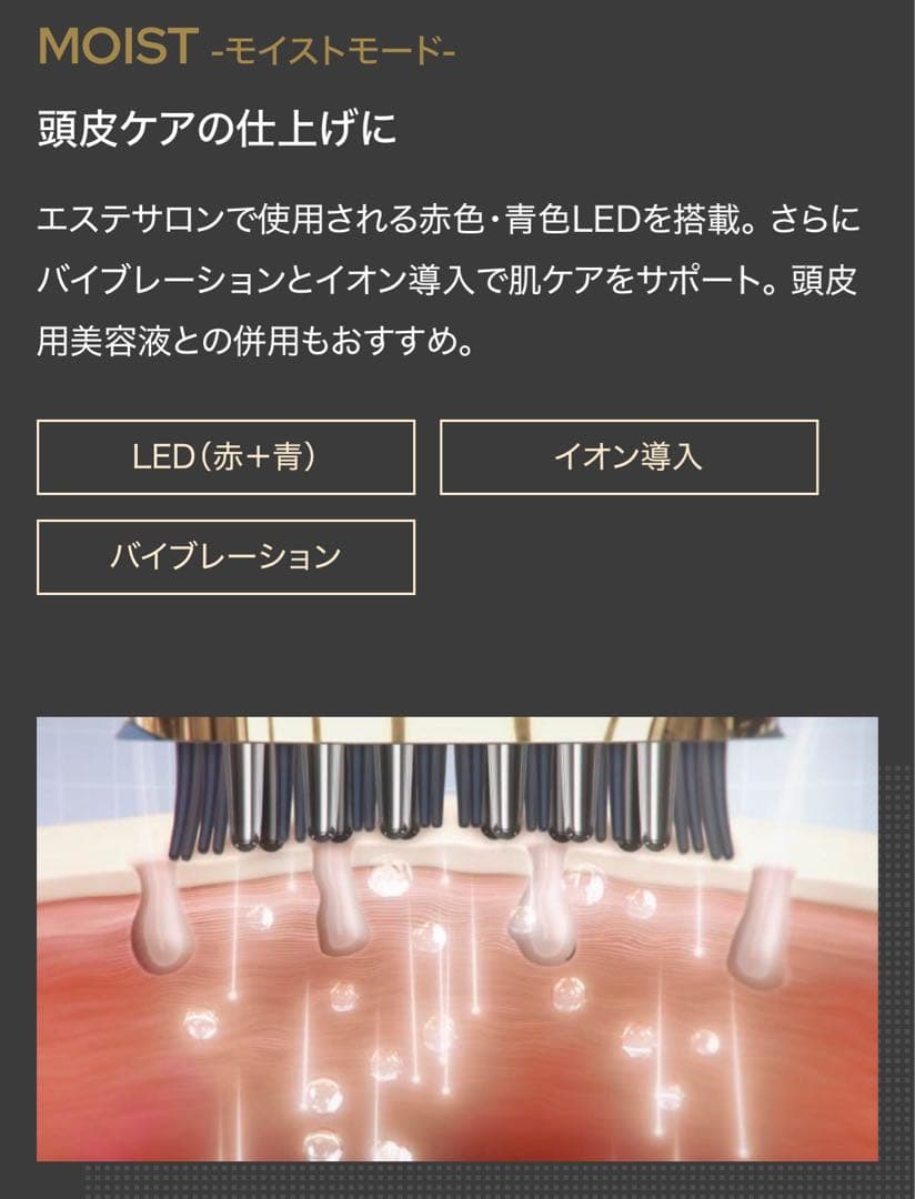 YA-MANヴェーダスカルプブラシ BS for salon 電気バリブラシ