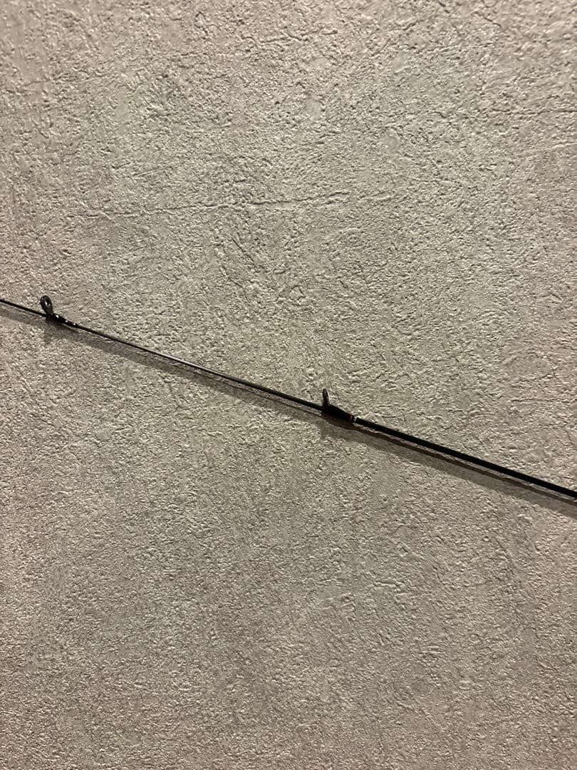 DAIWA EX AGS AJING& MX LT 2000S アジングセット