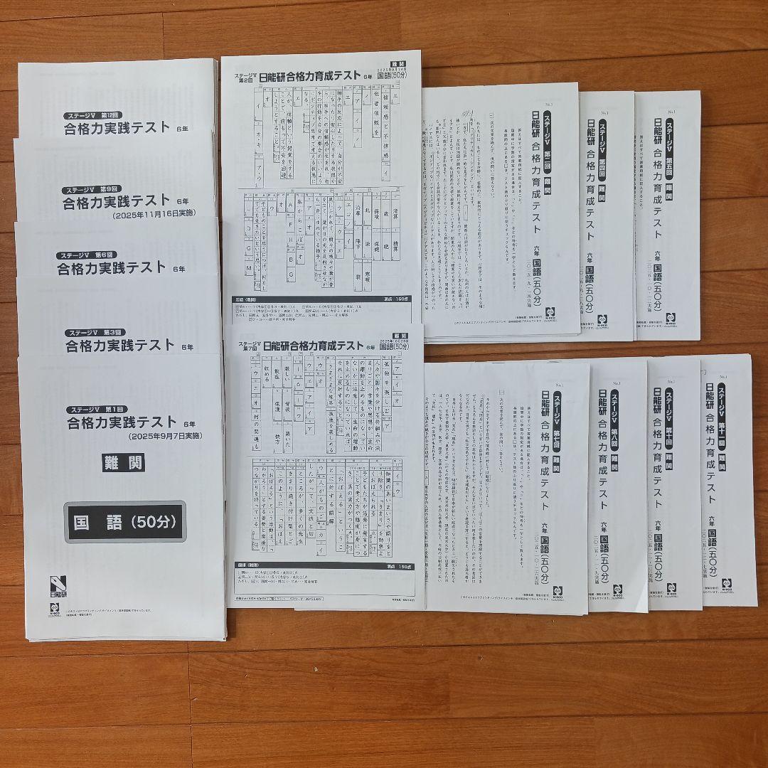 ①【２個口発送】日能研　６年生　各種テキスト　栄冠　全国公開模試　育成テスト他
