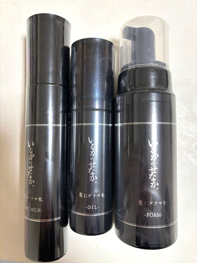 いるかのせなか