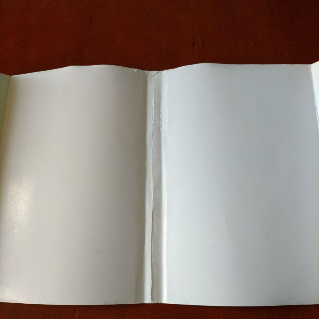 内家拳 秘伝口訣 佐藤金兵衛著 メルカリ限定出品