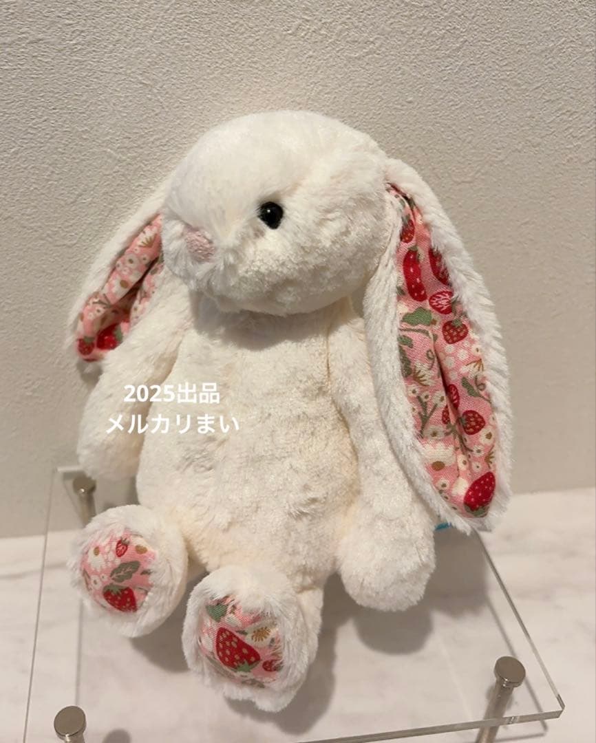  Blossom Cream Bunny 'Berry' （S）