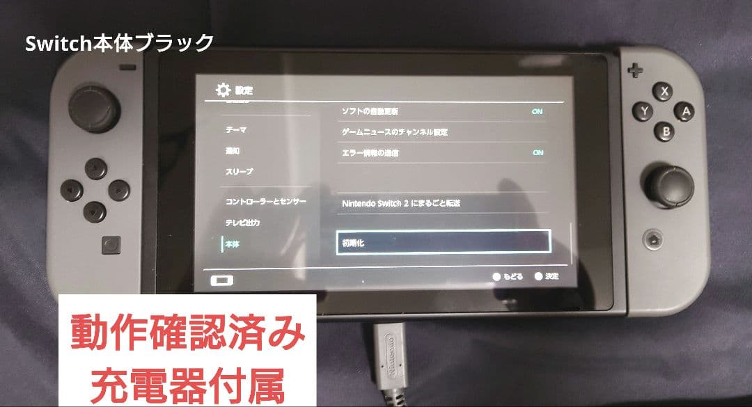 動作確認済みNintendo Switch 本体 グレー