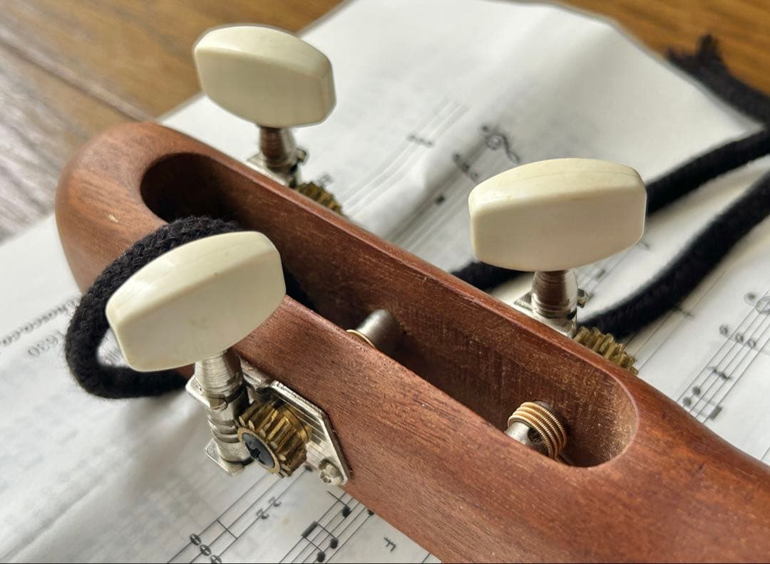 HOSCO みんなの民族楽器 ミンミン MinMin 3弦ギター　おまけ付き