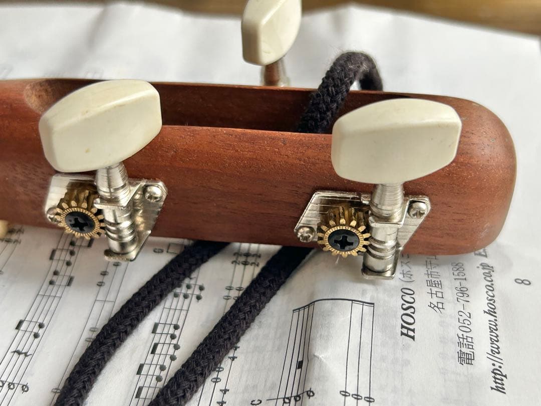 HOSCO みんなの民族楽器 ミンミン MinMin 3弦ギター　おまけ付き