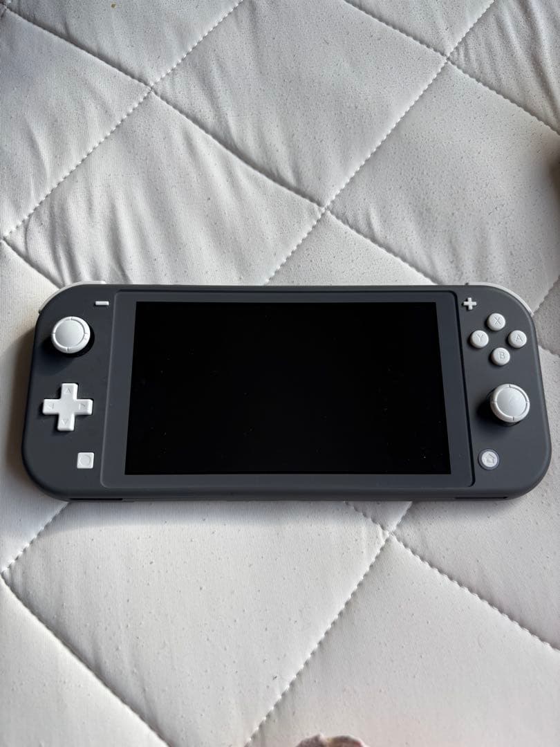 石*渡様 Nintendo Switch Lite グレー 本体