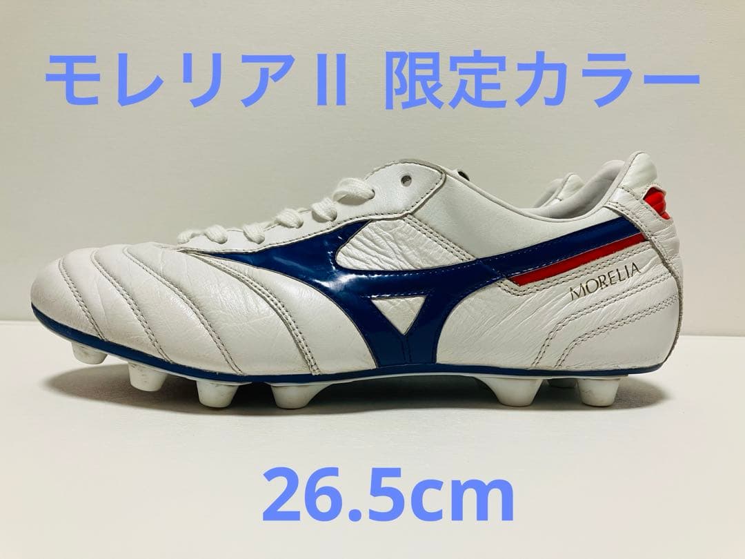【値下げ】限定カラー　モレリアII Japan 26.5cm