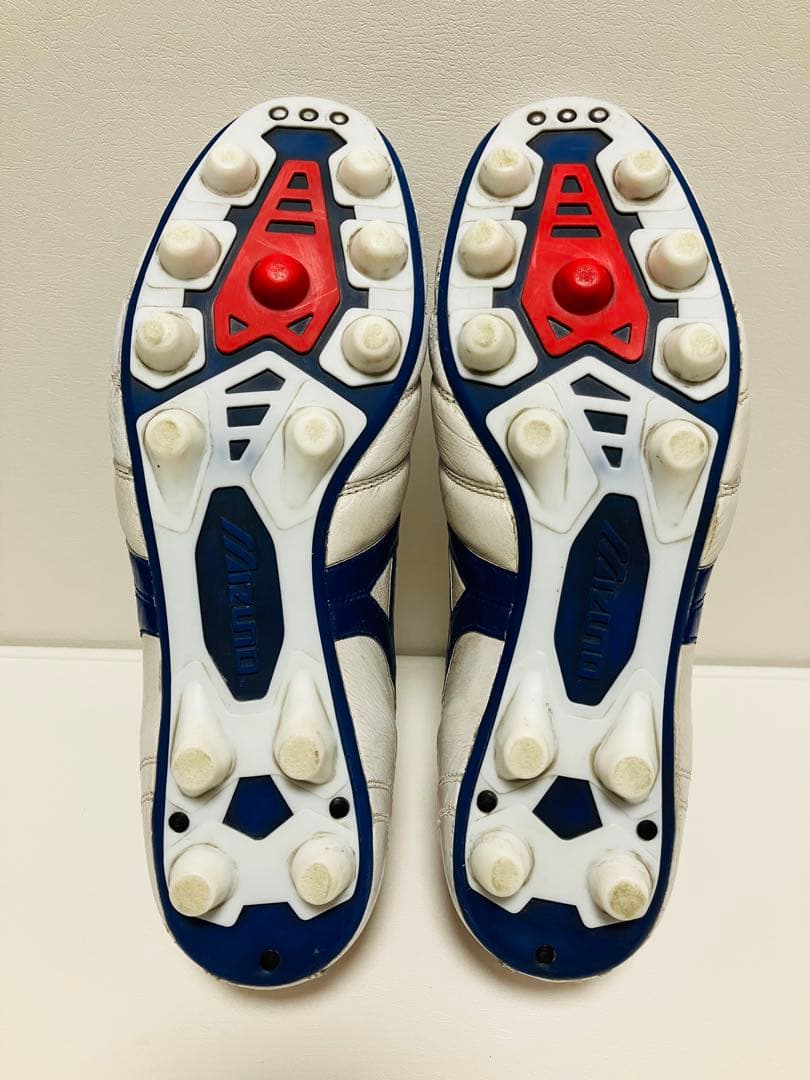 【値下げ】限定カラー　モレリアII Japan 26.5cm