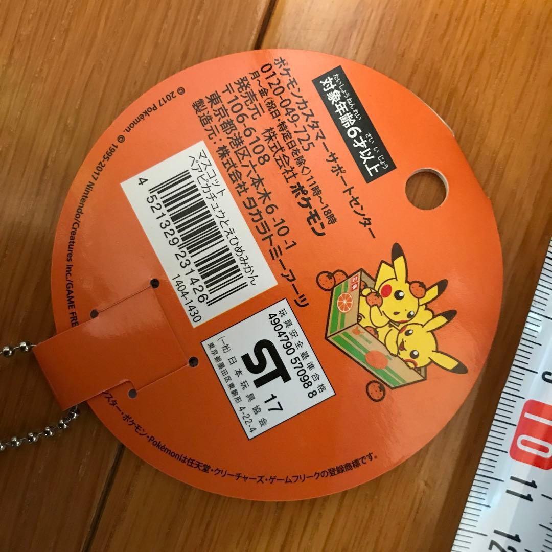 ペアピカチュウとえひめみかん　ぬいぐるみ　愛媛みかん　えひめみかん　愛媛　えひめ