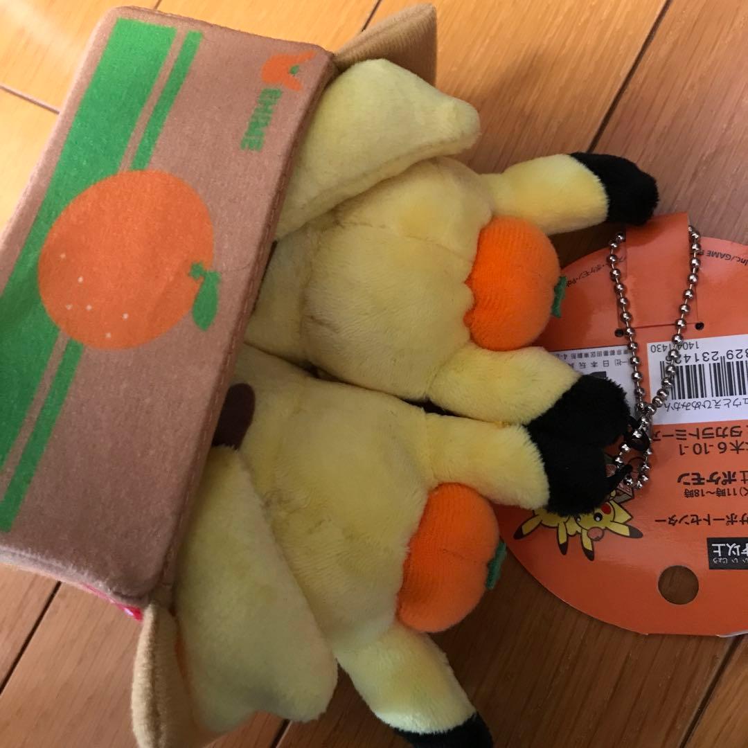 ペアピカチュウとえひめみかん　ぬいぐるみ　愛媛みかん　えひめみかん　愛媛　えひめ
