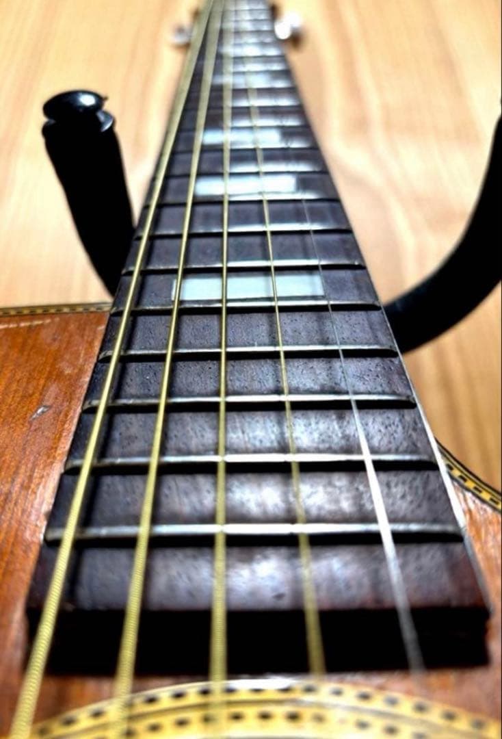 スナフキン堂【希少カッタウェイ】MONTANO リペア・メンテ済　JV