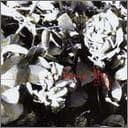 静む体温 Fatima 2ndpress帯付き