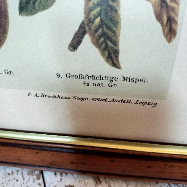 イタリア ヴィンテージ 大判 無垢 木枠 額装 アート パネル 大型 特大 美術