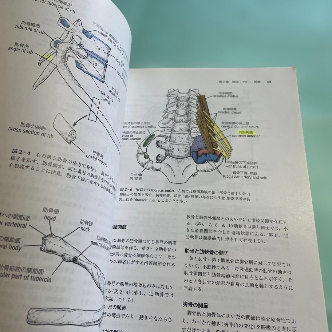 ❤️❤️❤️❤️スネル臨床解剖学❤️第三版