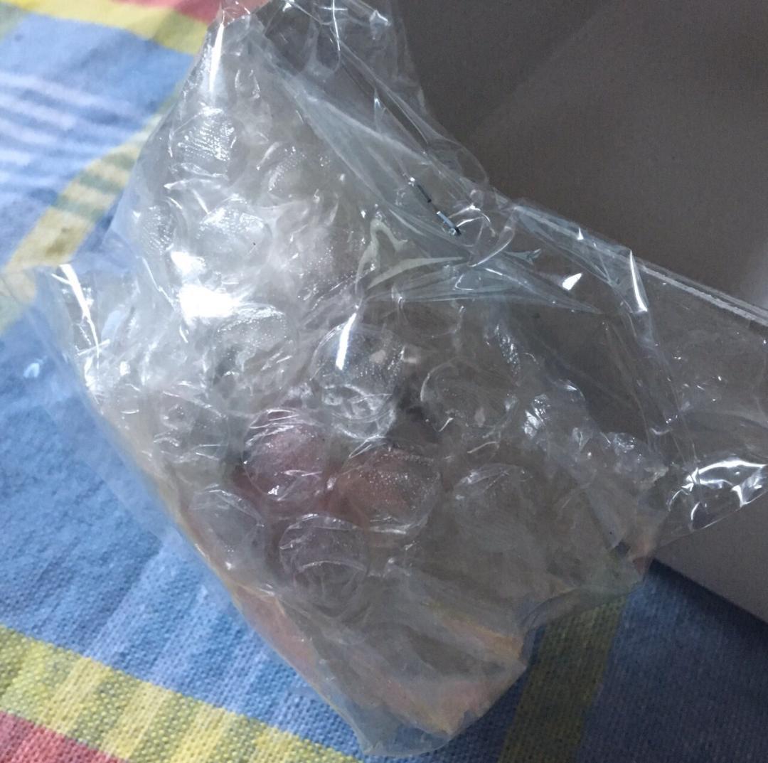 美品 絶版 フジミ 1/20 ザウバー C30 日本GP w/レジン製ヘルメット