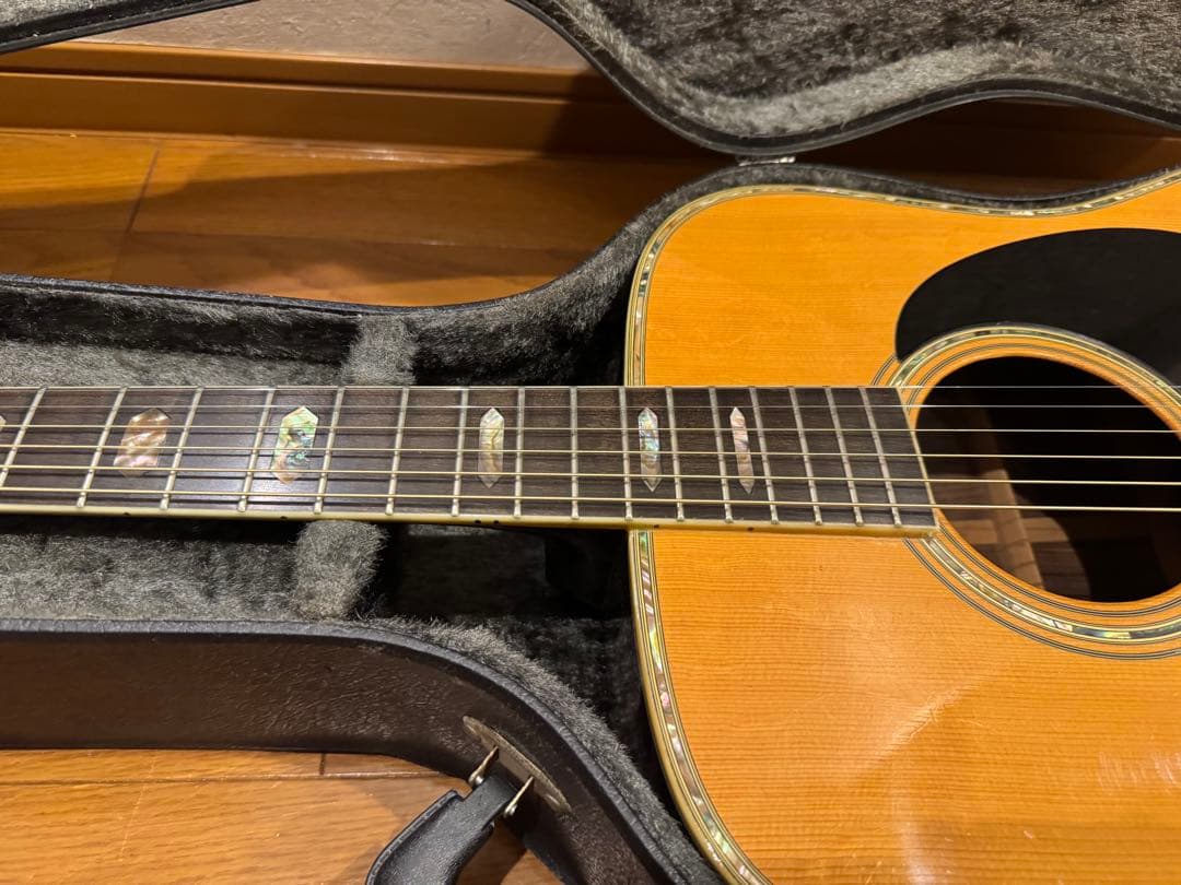 ギター morris special 80