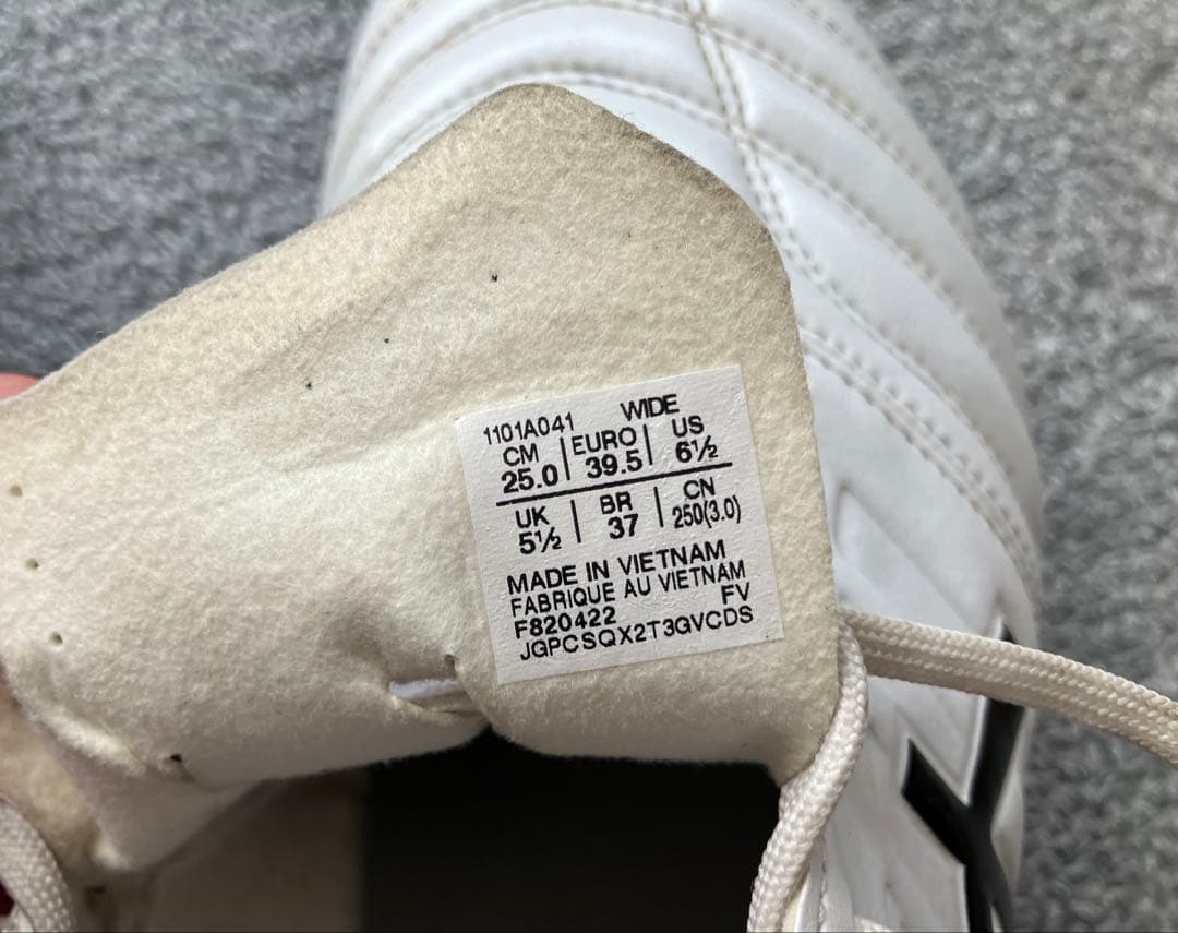 アシックスDS LIGHT GAIN ST WIDE 25cm