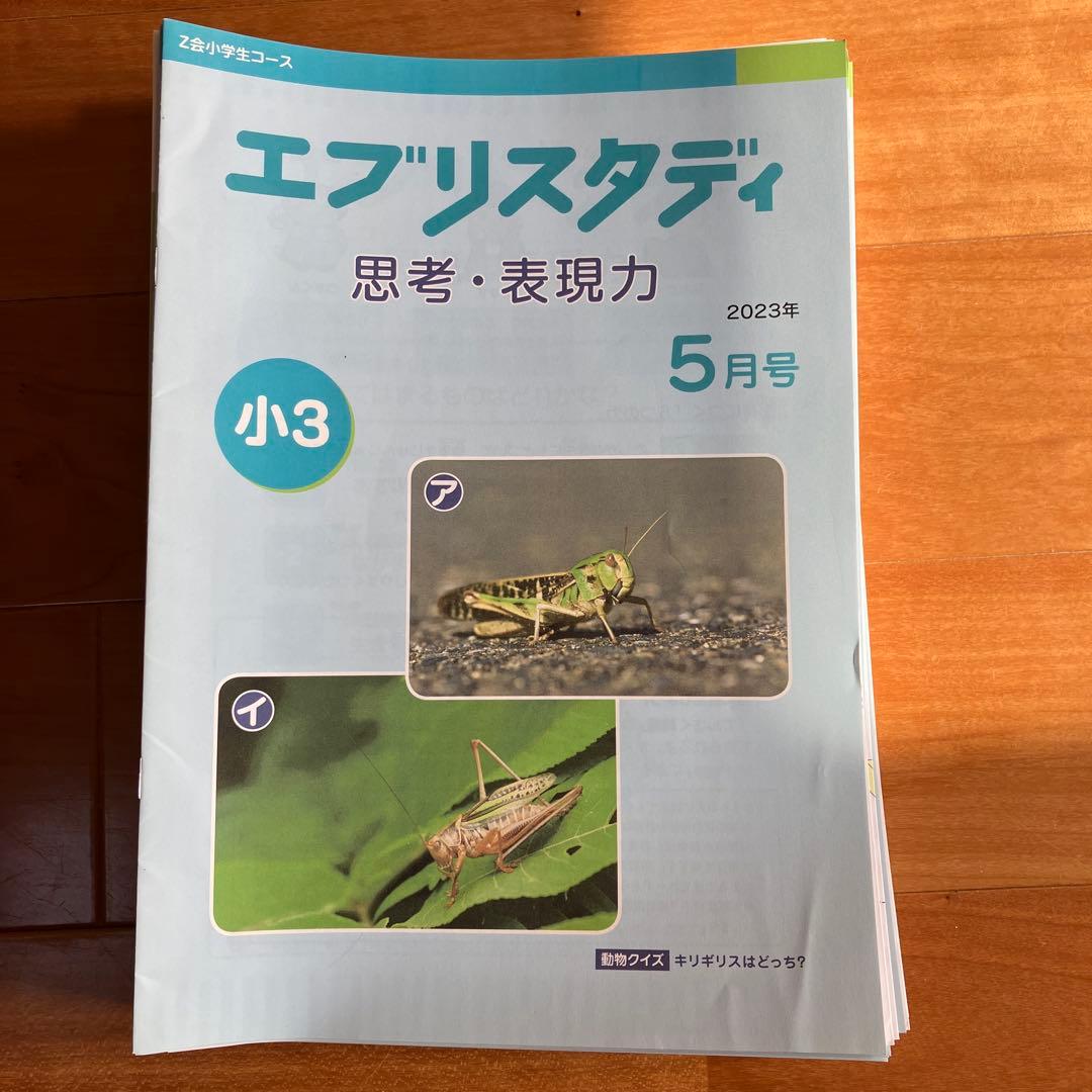 ★新品★Z会エブリスタディ思考・表現力　小3 11カ月分