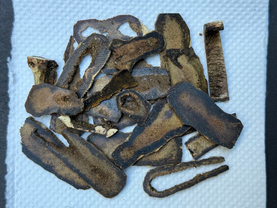 沈水級伽羅④ 11g (お得サイズ、大きめ)