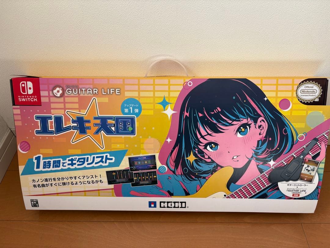 美品 Switch GUITAR LIFE -LESSON1- エレキ天国