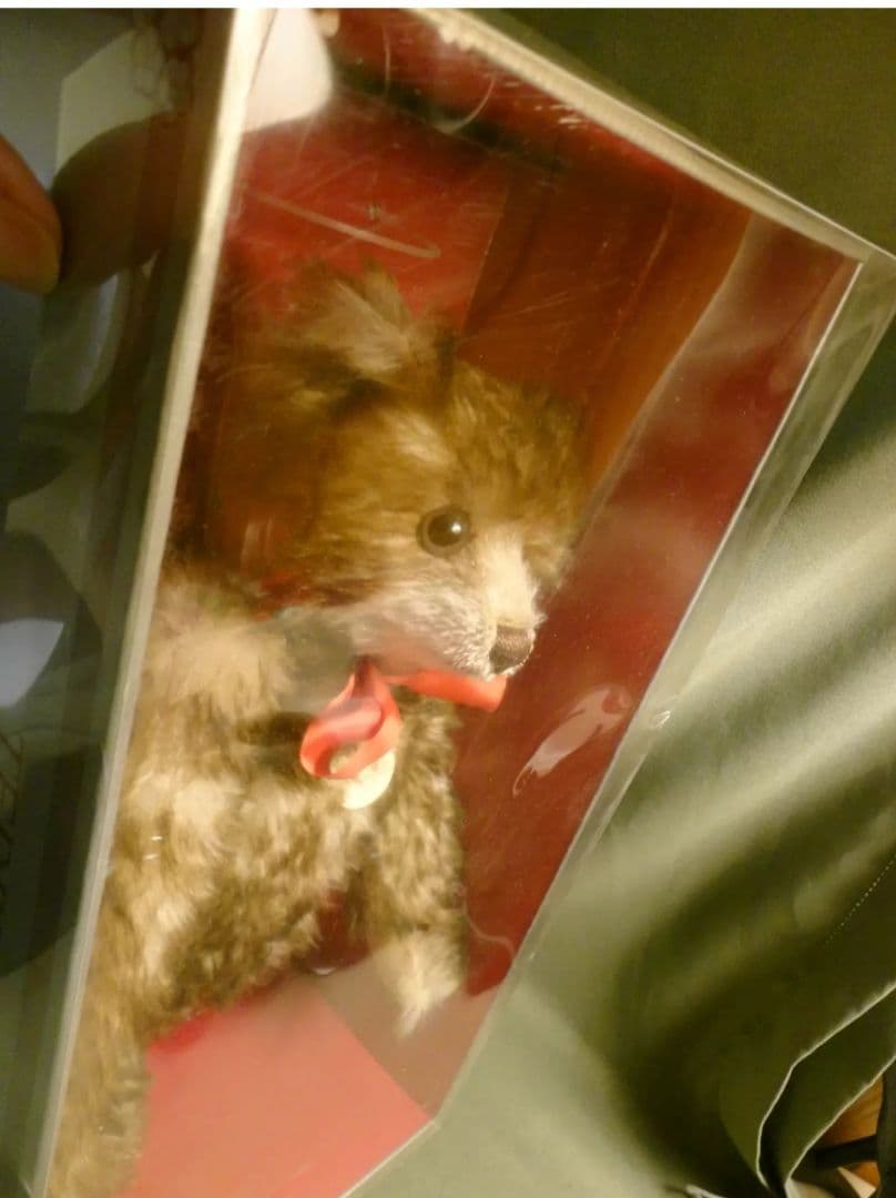 ◎レア　シュタイフ　テディベア　steiff ハッピー　teddy bear