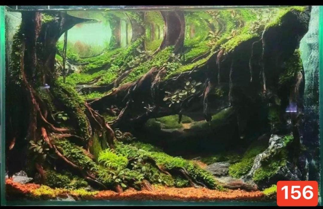 TTD 15690 【⭐︎ リく様⭐︎】【美品・数量限定】