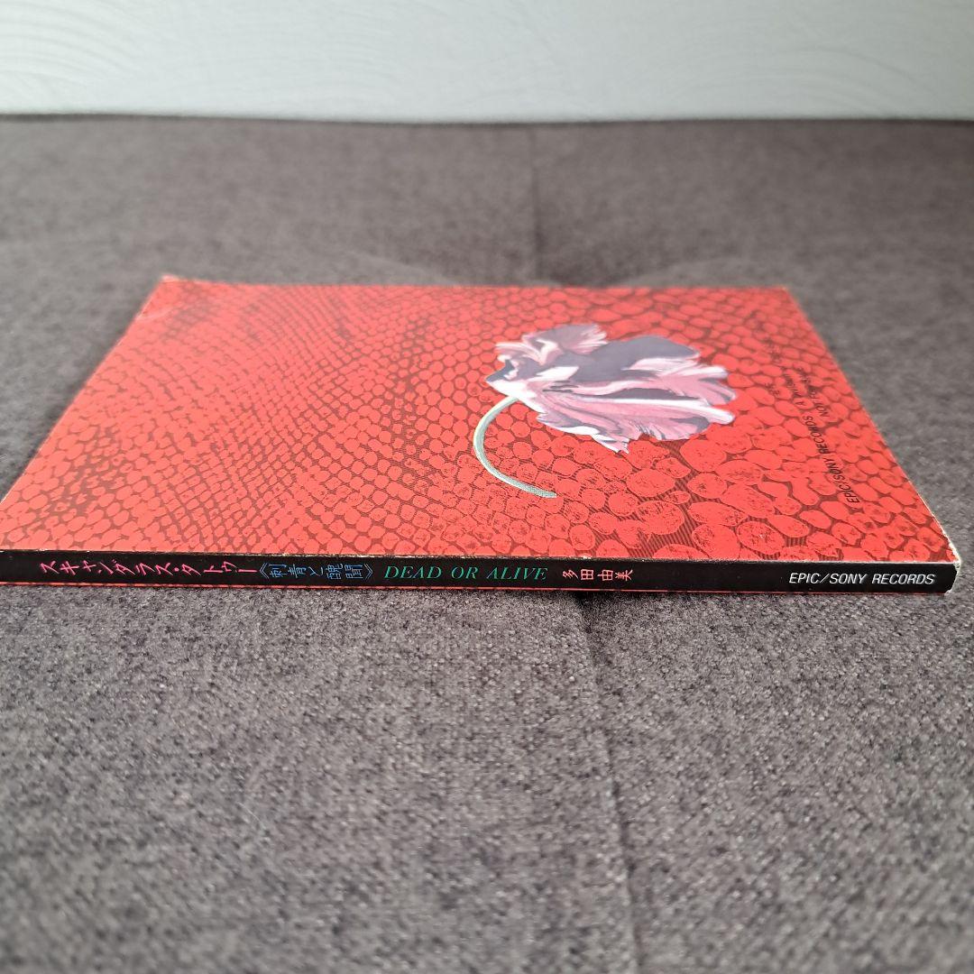 ポ*チ様 非売品★多田由美【スキャンダラス・タトゥー 刺青と醜聞 】