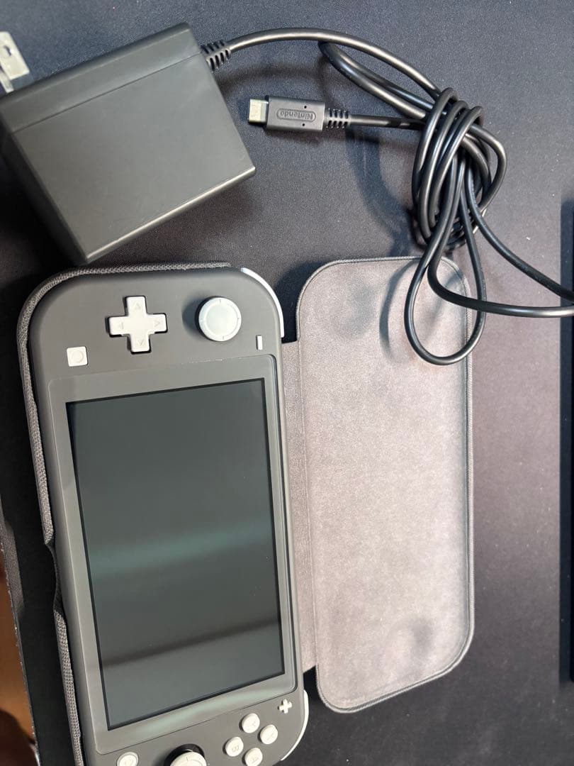 Nintendo Switch Lite グレー 本体と充電器、カバーのみ