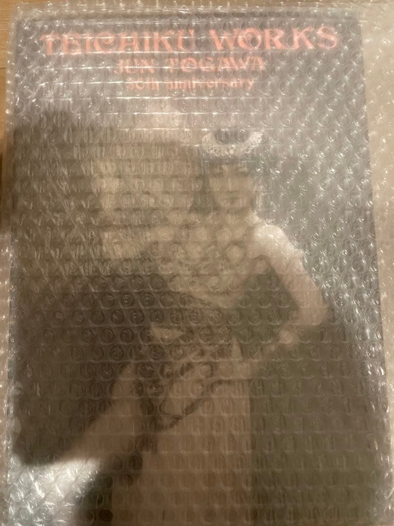 TEICHIKU WORKS JUN TOGAWA 30th 戸川純　未開封