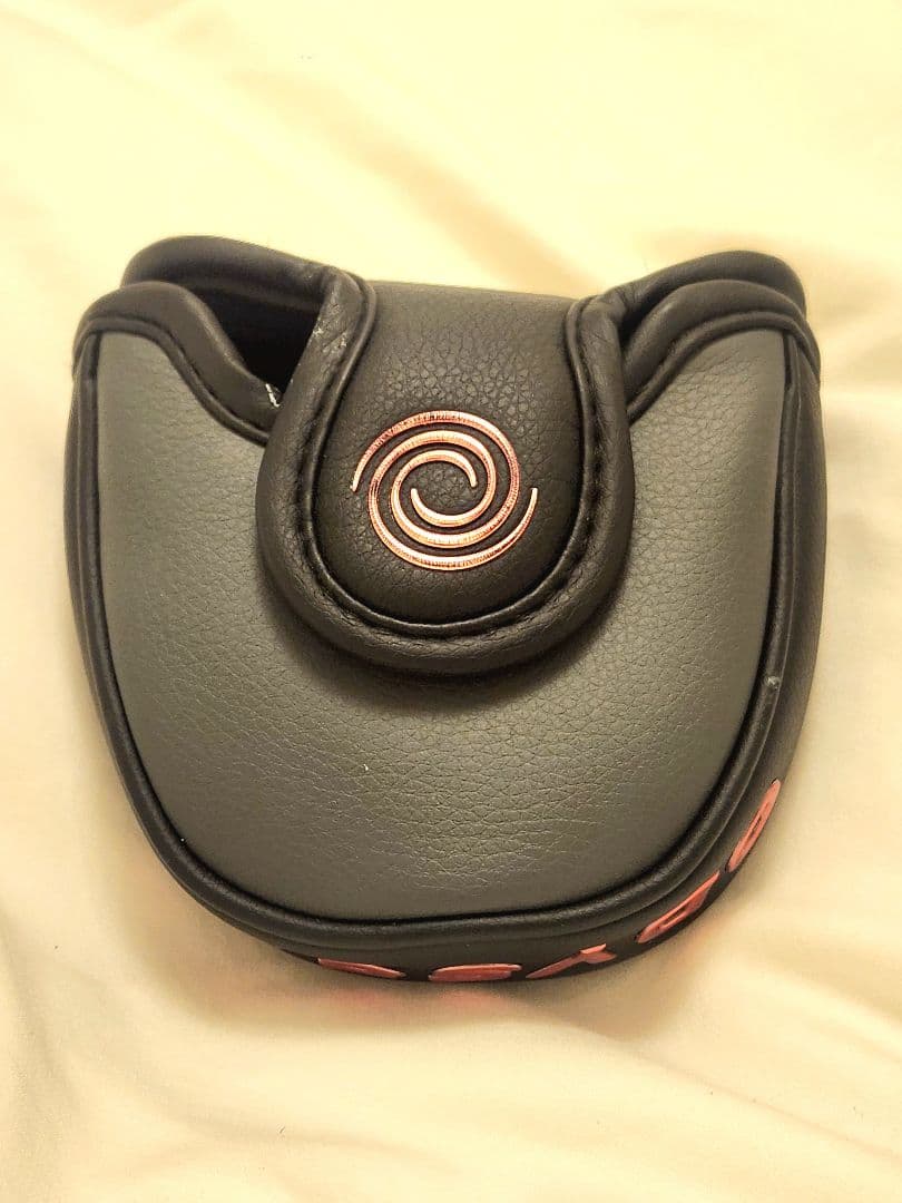 S*i様 ODYSSEY PROTYPE TOUR SERIES 2-BALL