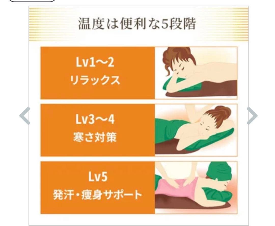 今だけ！タイマー機能付き ヒートマット　ベルベットベッドカバー　2点セット