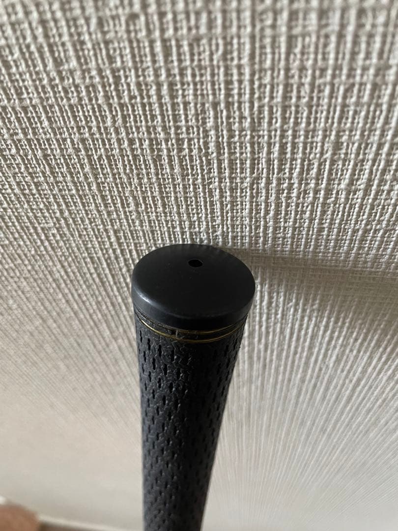 【正規品】3D Swing Mentor A107 TASK GOLF 購入