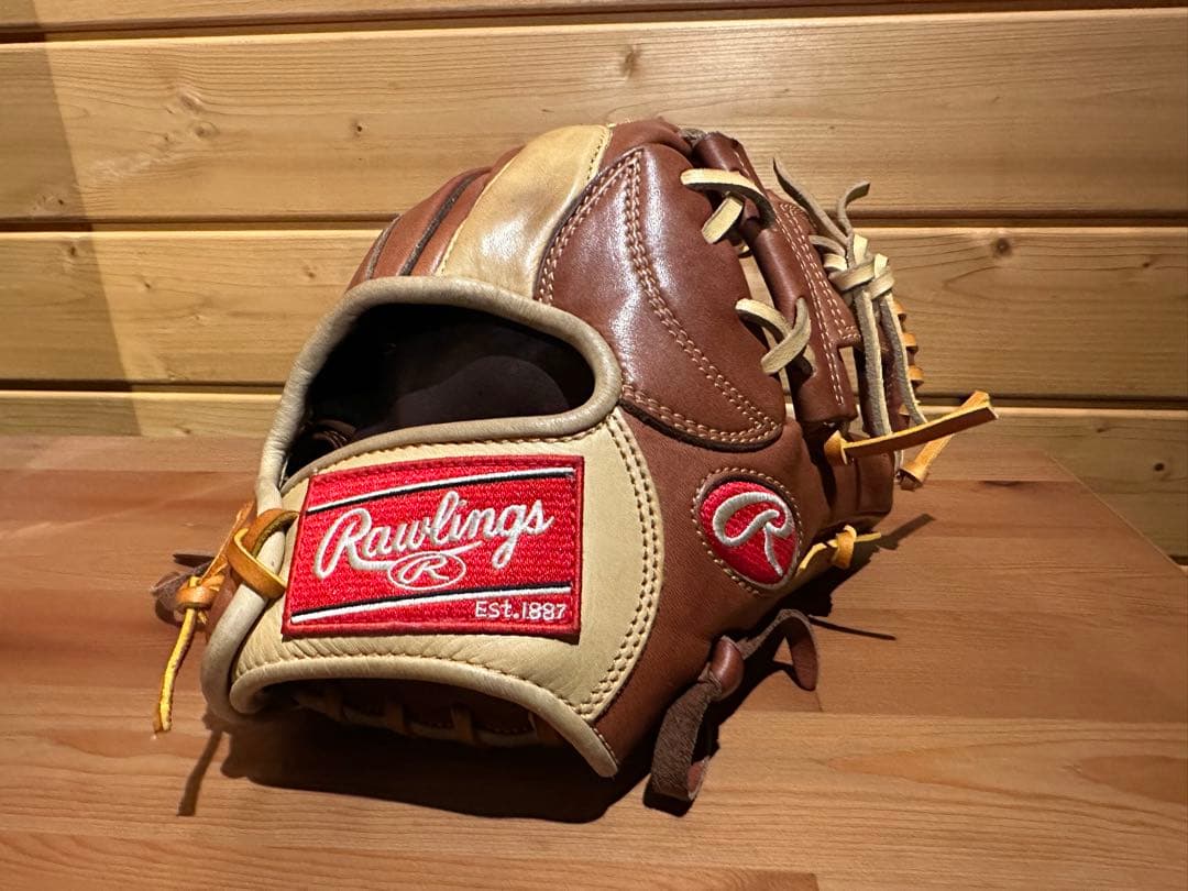 一日のみ専用中　Rawlings グローブ