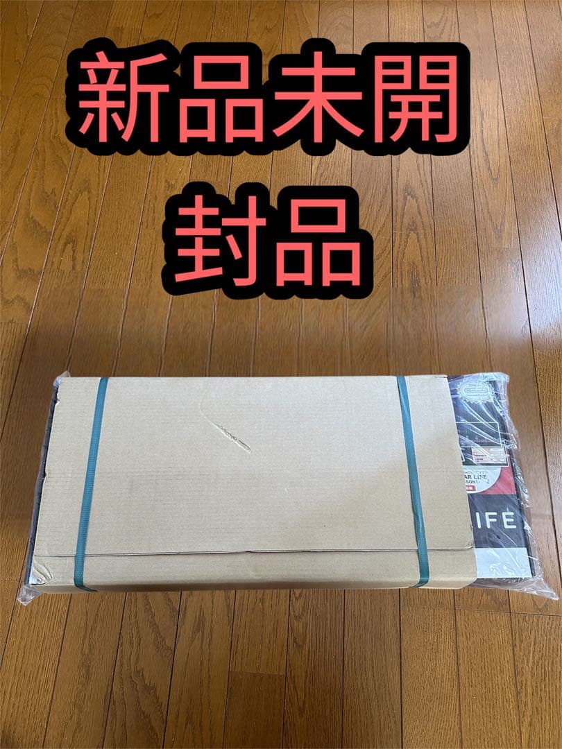 任天堂 Switch 　ギターライフ -LESSON1- 新品未開封品