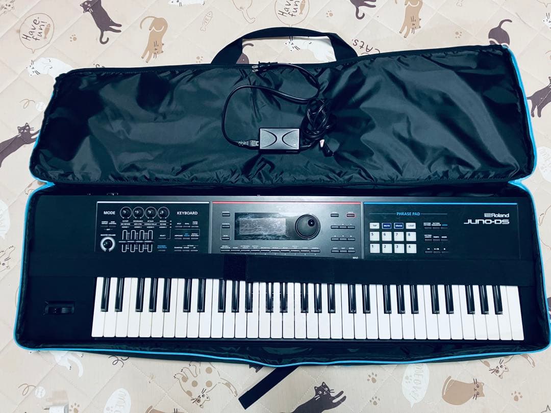 Roland JUNO-DS61 電子ピアノキーボード美品　動作確認済み　DAW