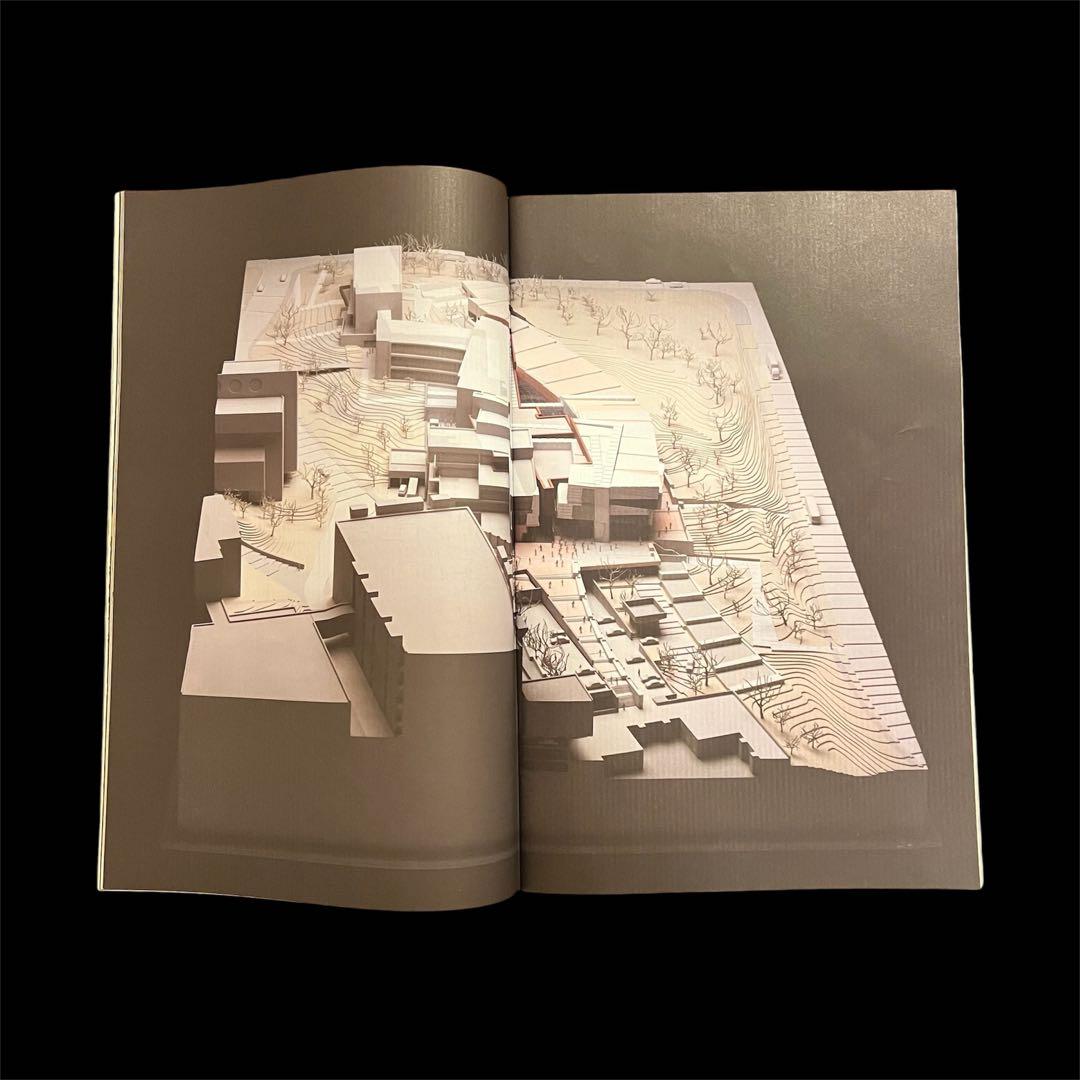 アート・デザイン・音楽 PETER EISENMAN & FRANK GEHRY