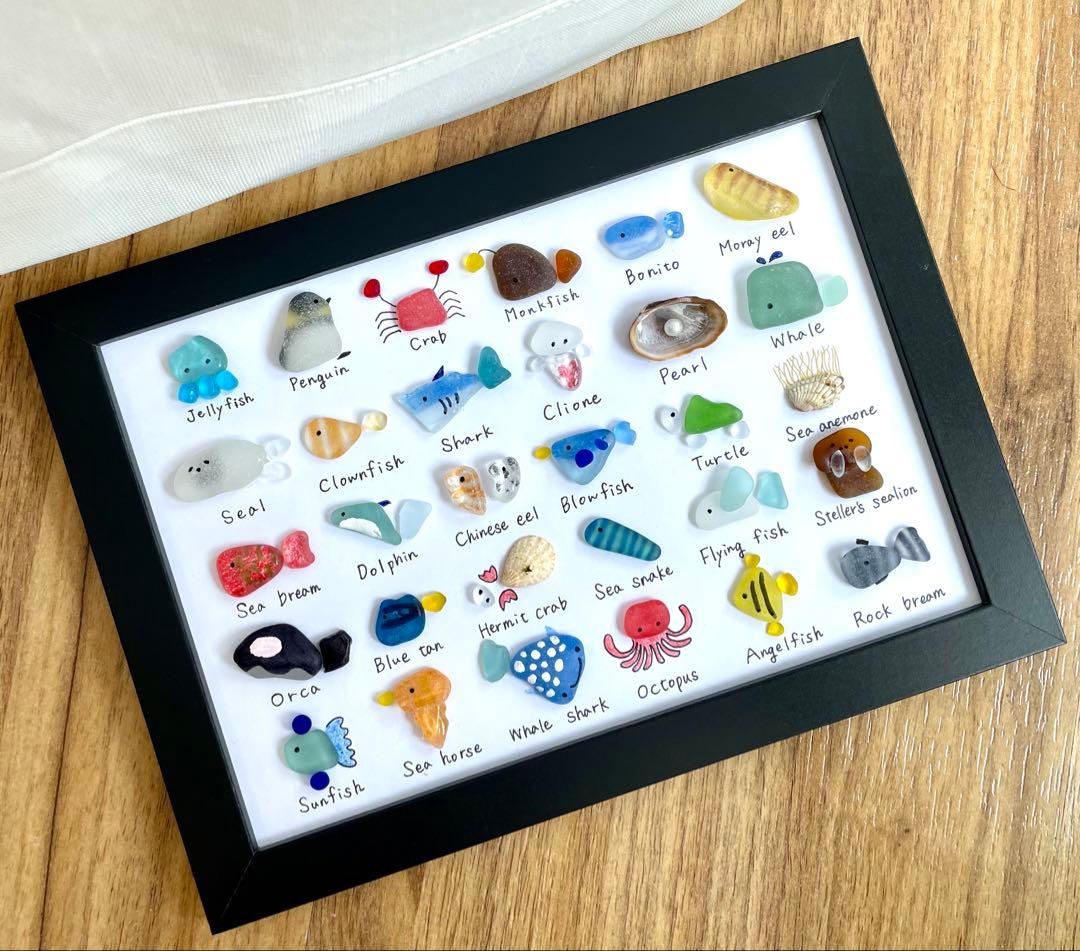 シーグラスアート☆No.370 図鑑　海の生き物　父の日　ギフト　プレゼント