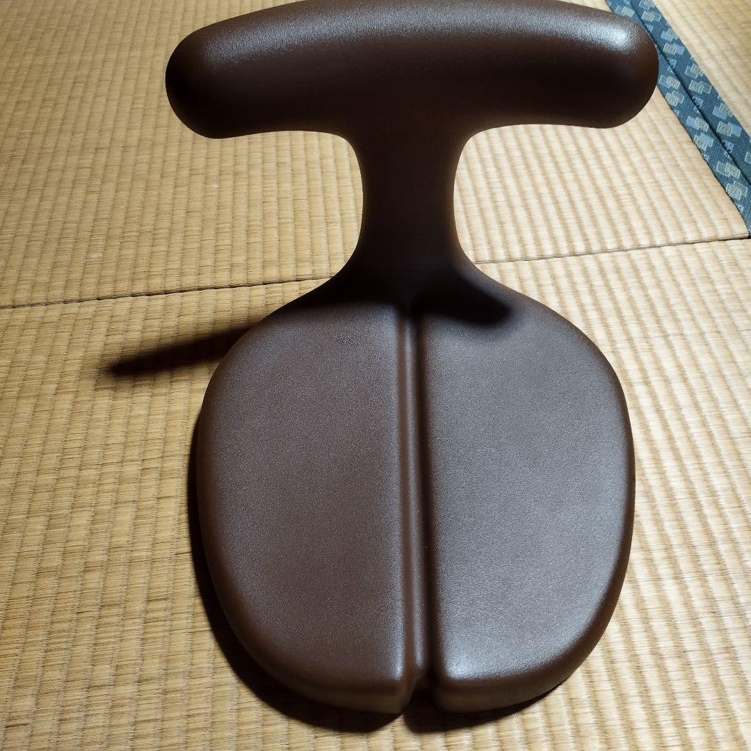 ayur medical seat 骨盤・姿勢矯正チェア